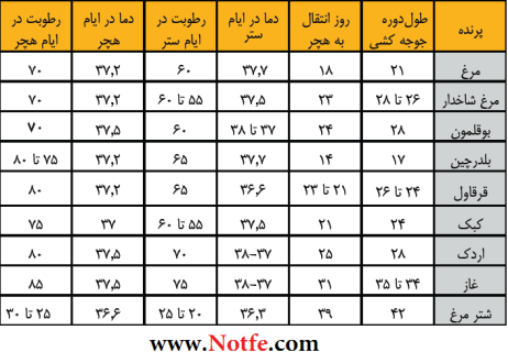 جدول زمانبندی جوجه کشی از تخم های نطفه دار پرندگان مختلف