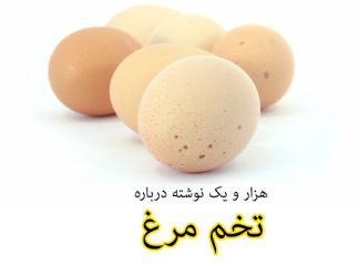 هزار و یک نوشته درباره تخم مرغ - مقالات و نوشته های مفید درباره تخم مرغ