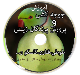 آموزش جوجه کشی و پرورش پرندگان زینتی