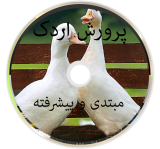 پرورش اردک، مبتدی تا پیشرفته