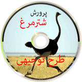 پرورش شترمرغ،طرح توجیهی