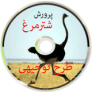 پرورش شترمرغ،طرح توجیهی