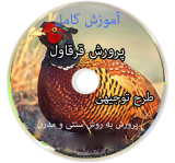 آموزش کامل پرورش قرقاول