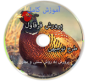 آموزش کامل پرورش قرقاول