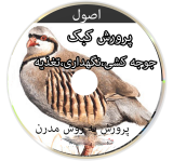 اصول پرورش کبک