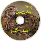 پرورش بلدرچین، اصول کلی