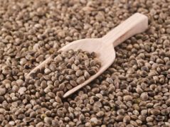 ماشین جوجه درآوری - تخم شاهدانه