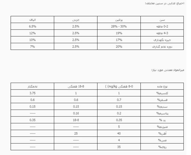 دستگاه جوجه کشی - احتیاجات غذایی و مواد معدنی ضروری برای جوجه های کبک