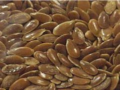 دستگاه جوجه کشی - تخم کتان