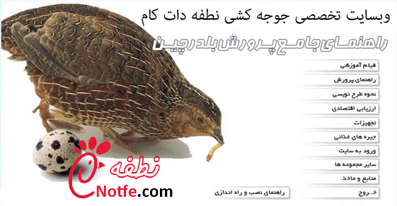 مجموعه کامل آموزش پرورش بلدرچین