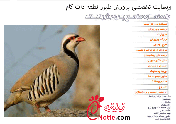 مجموعه آموزشی راهنمای جامع پرورش کبک/بصورت کاملا مولتی مدیا/کاملا کاربردی