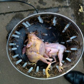 فروش دستگاه پرکن کوچیک