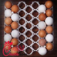 شانه تخم مرغ دستگاه جوجه کشی