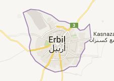 ارسال تخم نطفه دار - جوجه یکروزه به عراق - اربیل