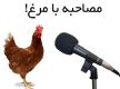 مصاحبه با مرغ - خنده دار