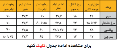 جدول آشنایی با طول دوره جوجه کشی تخم های نطفه دار انواع پرندگان