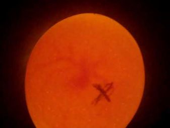 انکیباتور - کندلینگ تخم قرقاول