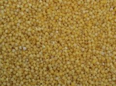 تخم نطفه دار - تخم ارزن