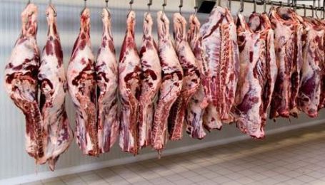 انکیباتور - تجهیزات کشتار شترمرغ