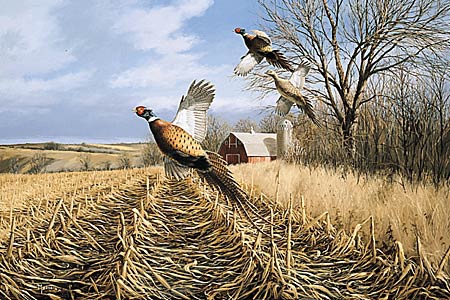 دستگاه جوجه کشی - تاریخچه ی قرقاول