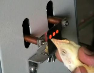 دستگاه جوجه کشی - روشهای نوک چینی طیور