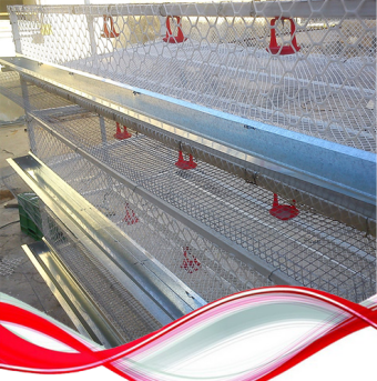 قفس اتوماتیک بلدرچین