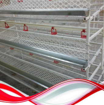 قفس پرورش بلدرچین اتوماتیک