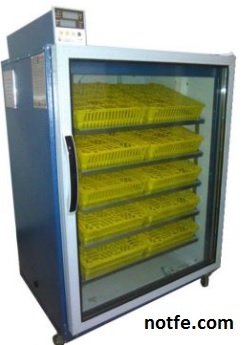 انکیباتور - دستگاه جوجه کشی