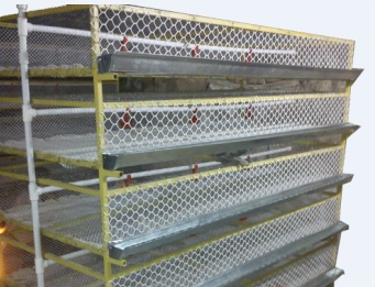 ماشین جوجه در آوری - قفس پرورش بلدرچین