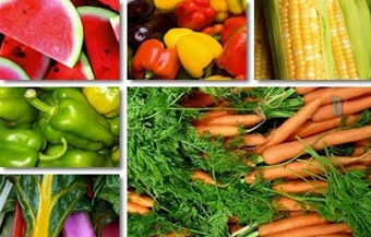 تخم نطفه دار - خواص میوه جات و سبزیجات در تغذیه قناری